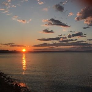 Meet your Posher, Estelle